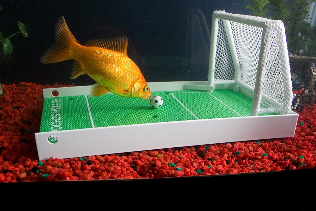 How to Train Your Fish to Play Soccer