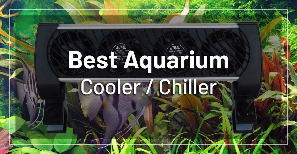 Best Chiller for Planted Aquarium 2021