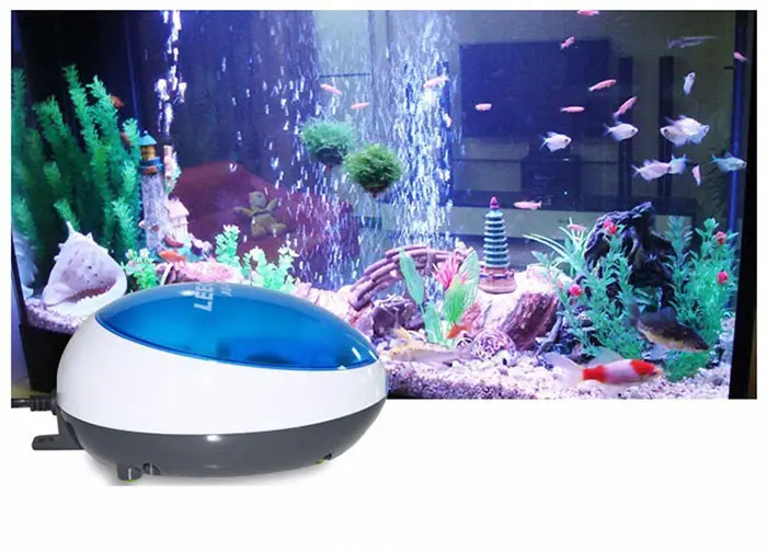 Best Aquarium Air Pump for Multiple Tanks