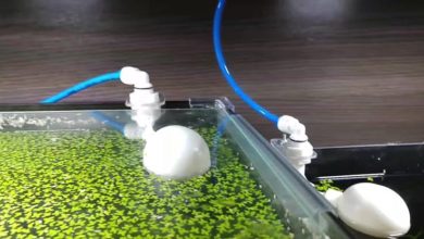 Best Auto Top Off System for Reef Tank 2021 - Whylaptops.com