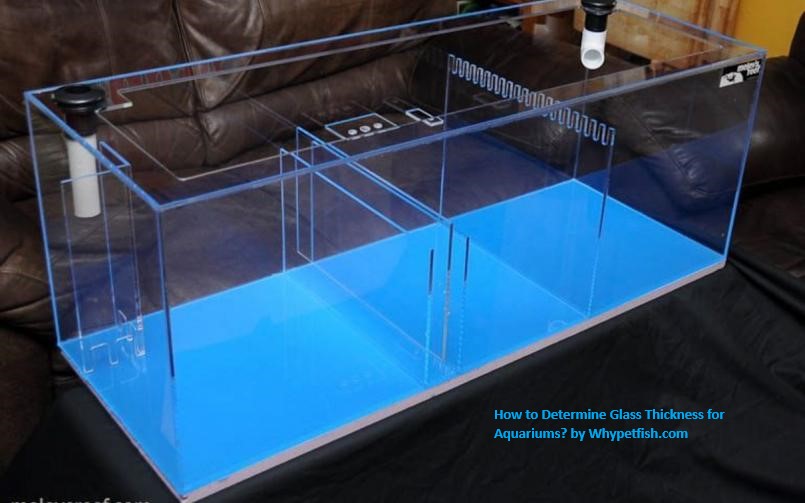 How to Determine Glass Thickness for Aquariums
