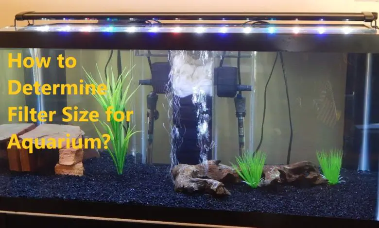 How To Determine Filter Size For Aquarium Guidelines,Best Smoker Design
