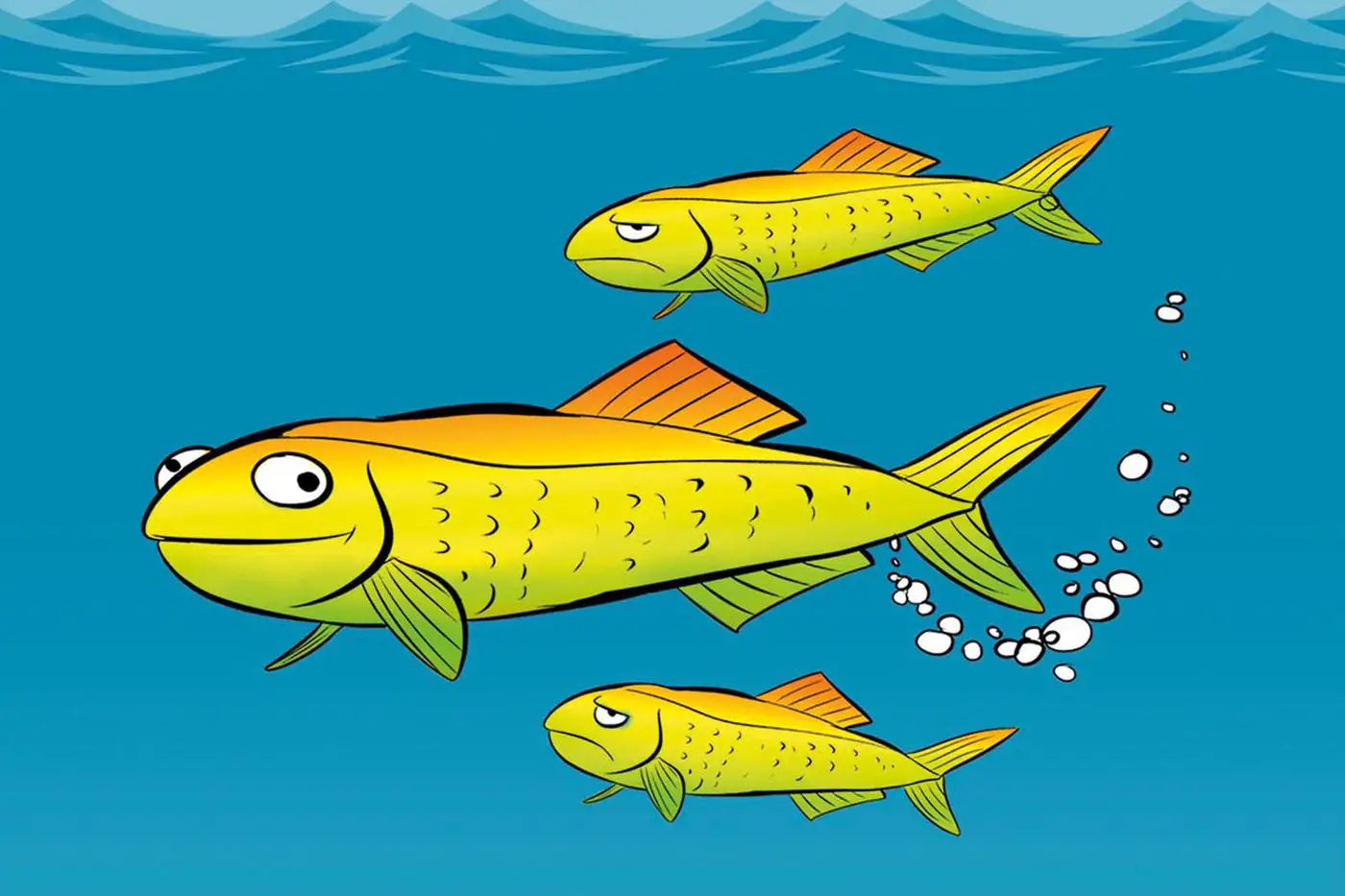 Do Fish Burp And Fart? Amazing Facts by Whypetfish.com