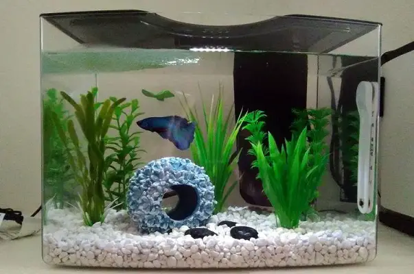 How Much Electricity Does Fish Tank Filter Use?