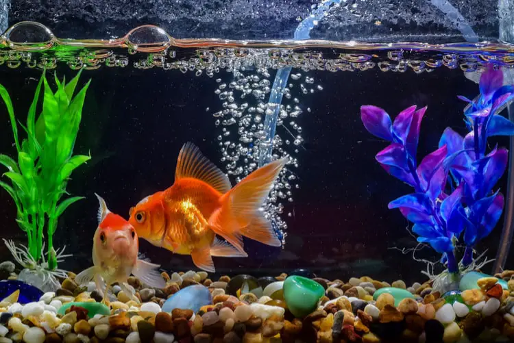 How to Make a Fish Tank Filter Less Powerful?