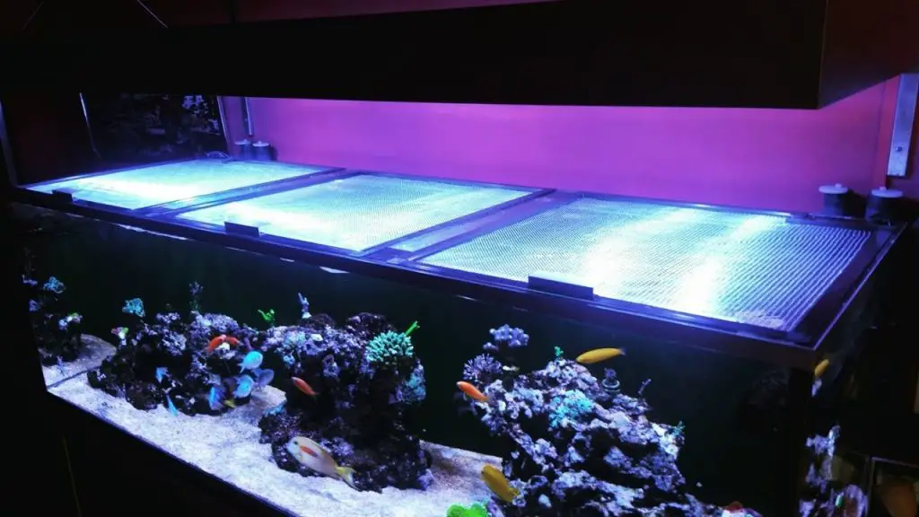 How to Make a Homemade Fish Tank Lid?