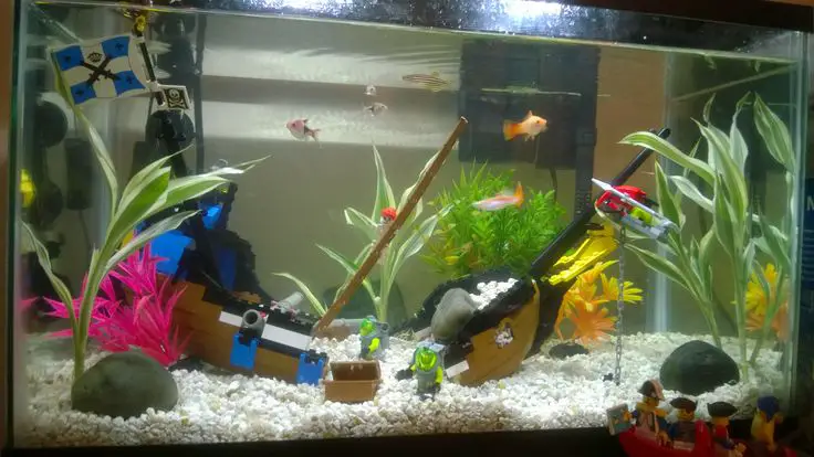Can You Put LEGO in an Aquarium? Things to Know