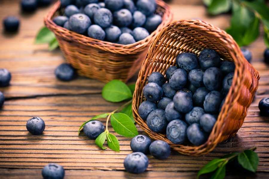 Can Fish Eat Blueberries?